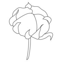 Cotton plant logo. Hand drawn wedding grass with elegant leaves. vector