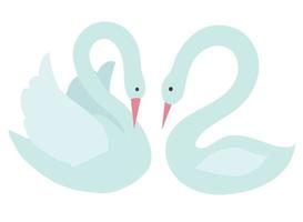 Pair of white swans in cartoon style. Vector stock illustration isolated on white background.