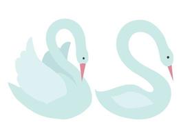 Two white swans in cartoon style. Vector stock illustration isolated on white background.