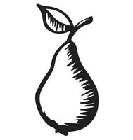 Pear, summer fruit. Made in the style of engraving. handmade. Vector illustration isolated on white background. Suitable for postcard, label, poster, print.