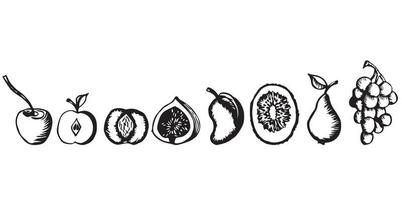 Fruit set, kiwi, cherry, pear, grape, fig, apple, peach, mango. Graphics. Hand drawing. Vector illustration isolated on white background.