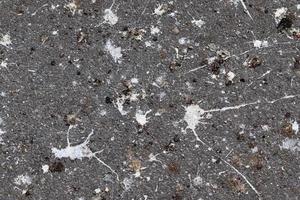 Lots of bird poop on asphalt concrete road background. photo