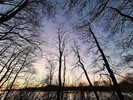 un lago al atardecer con siluetas de árboles. foto