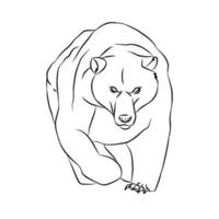 Beautiful bear streaks, used in general applications vector