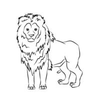 hermosas rayas de león, utilizadas en aplicaciones generales vector
