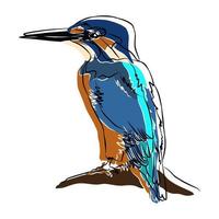 Beautiful bird portraits, used in general applications vector