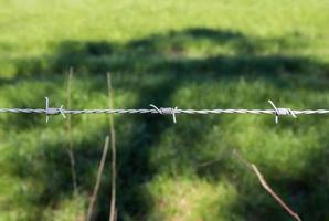 Barbed wire on with a soft focus bokeh in the background. photo