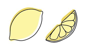 A set of summer tropical fruits. Collection of exotic fruits lemons. Whole and slices of fruit. Vector illustration in linear style with colored spots