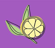 A set of summer tropical fruits. Collection of exotic fruits lemons. Whole and slices of fruit. Vector illustration in linear style with colored spots