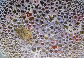 Hot water drops condensating at a glass pot cover during cooking. photo