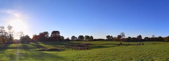 Beautiful high resolution panorama of a northern european country landscape with fields and green grass photo