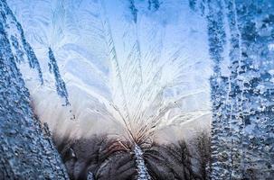 Beautiful ice flowers at a window on a very cold winter day. photo