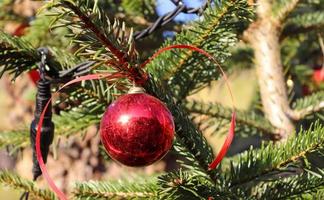 Beautiful and colorful christmas decoration. photo