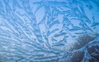 Beautiful ice flowers at a window on a very cold winter day. photo