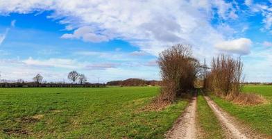 Beautiful high resolution panorama of a northern european country landscape with fields and green grass photo