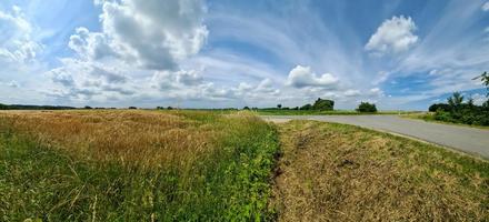 hermoso panorama de alta resolución de un paisaje del norte de Europa con campos y hierba verde foto