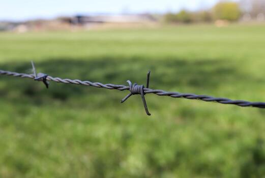 alambre de púas con un bokeh de enfoque suave en el fondo. foto