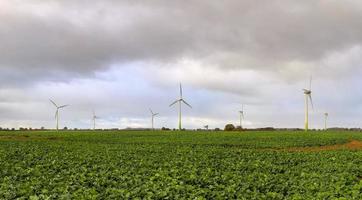 Panoramic view on alternative energy wind mills in a windpark in northern europe photo