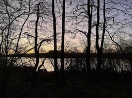 un lago al atardecer con siluetas de árboles. foto