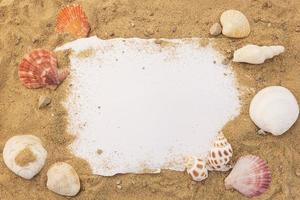 Blank paper concept for text with frames adorned with shells on a sandy background. photo