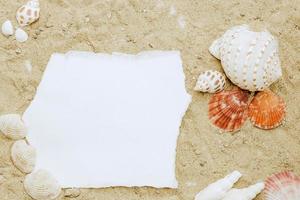 Blank paper concept for text with frames adorned with shells on a sandy background. photo