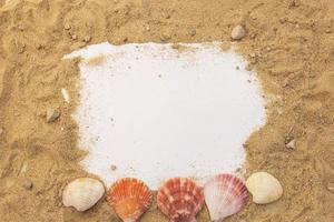 Blank paper concept for text with frames adorned with shells on a sandy background. photo