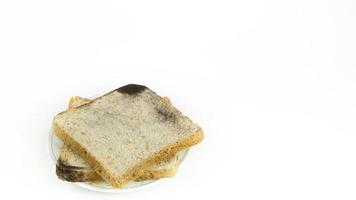 Two square slices of bread placed on a fungal infection plate, on isolated white background. photo