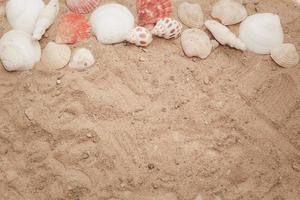 The idea for putting text in the summer, which consists of shells decorated as a frame and a sandy background. photo