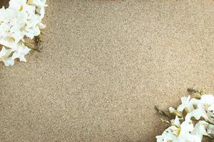 Frame made of white flowers on a brown background, Flat lay, copy space photo