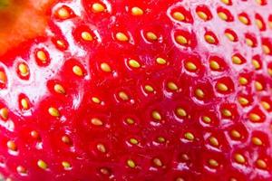 Extreme macro of red strawberry texture for background photo