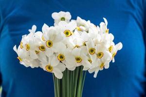 Bouquet of small white daffodil photo