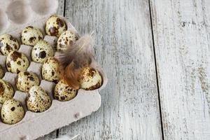 quail eggs in Cardboard rack on background with feather photo