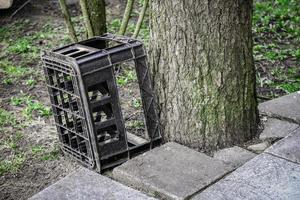 Black plastic old crate for bottles meant for transportation of liquid standing near a tree trunk on sunny day outdoors photo