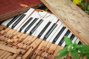 A broken musical instrument piano keys in a trash pile in green grass outdoors photo