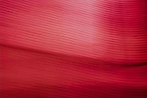 Red abstract background with small stripes. photo