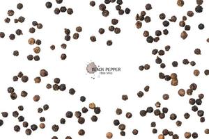 Black pepper seeds on white background photo