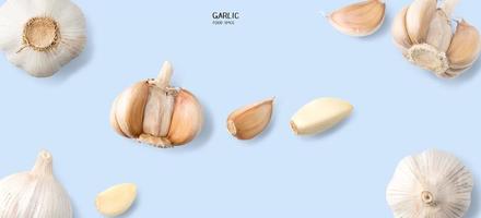 Garlic isolated on blue background. Cooking spices photo