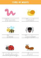 Tracing names of insect types. Writing practice. vector