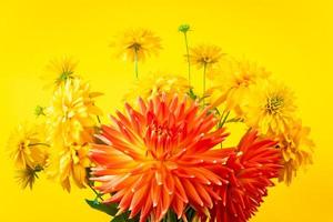 Summer bouquet yellow and red flowers on bright background. Chrysanthemums and dahlias close up. photo