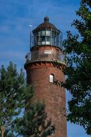 Darsser lightouse trees photo