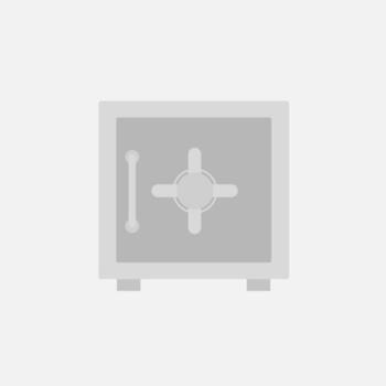 flat vector icon of safe with security code to open it, for finance, investment, business, savings,etc.