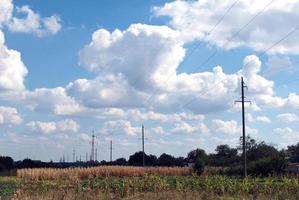 electric poles trees and clouds photo