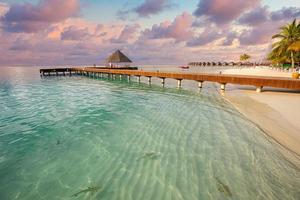 Fantastic sunset beach shore, shallows with sting rays and sharks in Maldives islands. Luxury resort hotel, wooden jetty, over water villa, bungalow. Amazing traveling, vacation landscape wildlife photo