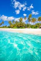 Beach nature concept. Palm beach in tropical idyllic paradise island. Exotic landscape for dreamy and inspirational summer scenery use for background or wallpaper photo