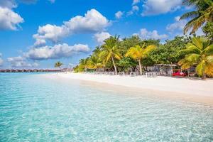 Paradise beach resort with palm trees and straw umbrellas and tropical sea in Maldives island. Summer vacation and tropical beach concept. photo