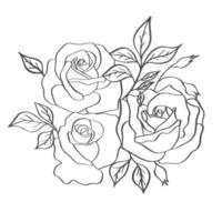 Rose bouquet sketch. Black outline on white background. Vector illustration.