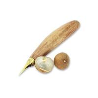 Bladed Peeled and longan on white background photo
