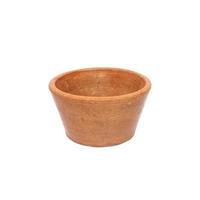 flower pot isolated on white photo