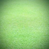 greensward football field background Green field photo