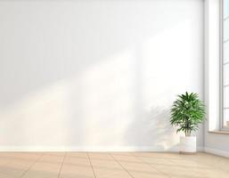 Minimalist empty room with white wall and wooden floor and indoor green plants. 3d rendering photo